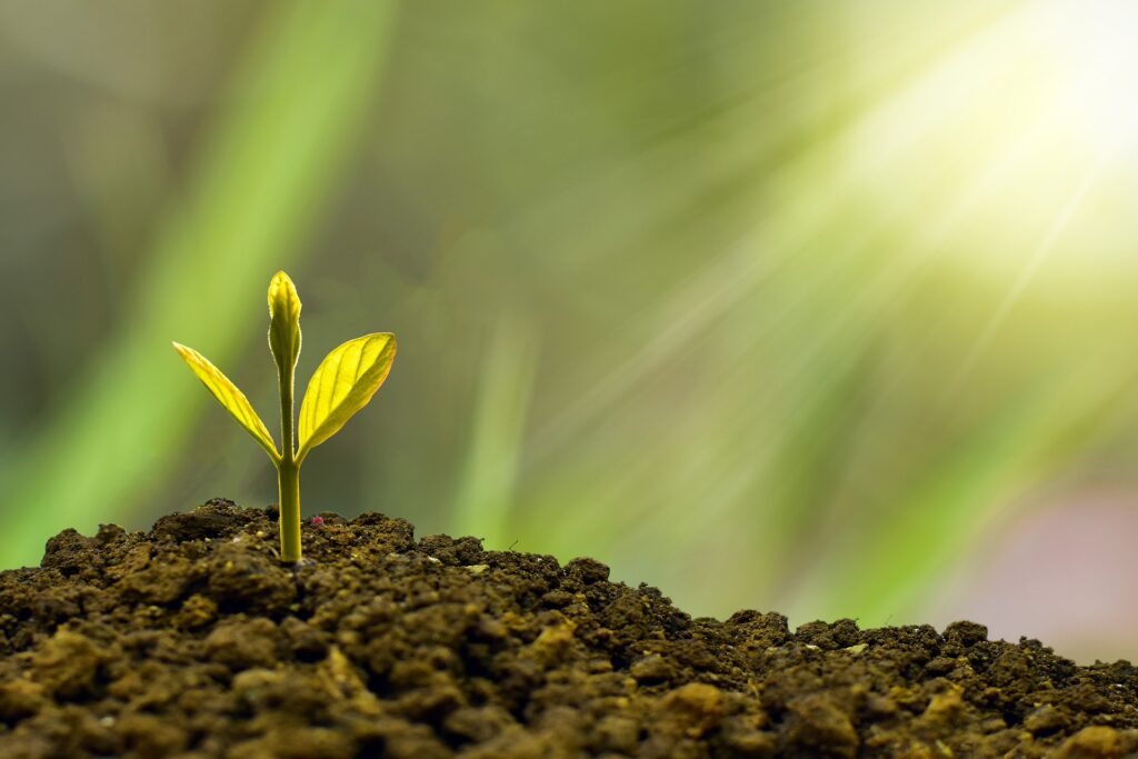 Green Economy